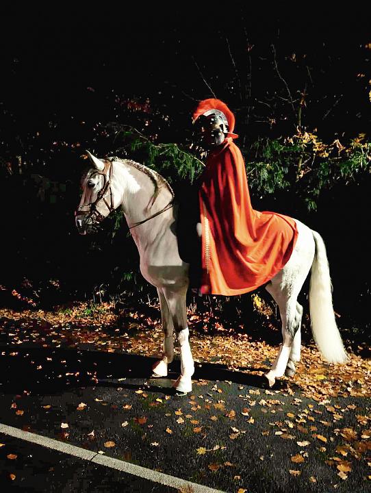 Bild: 20251129-171437.jpg